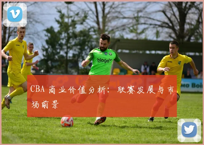 CBA 商业价值分析:联赛发展与市场前景