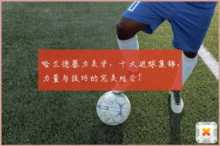 哈兰德暴力美学,十大进球集锦,力量与技巧的完美结合!